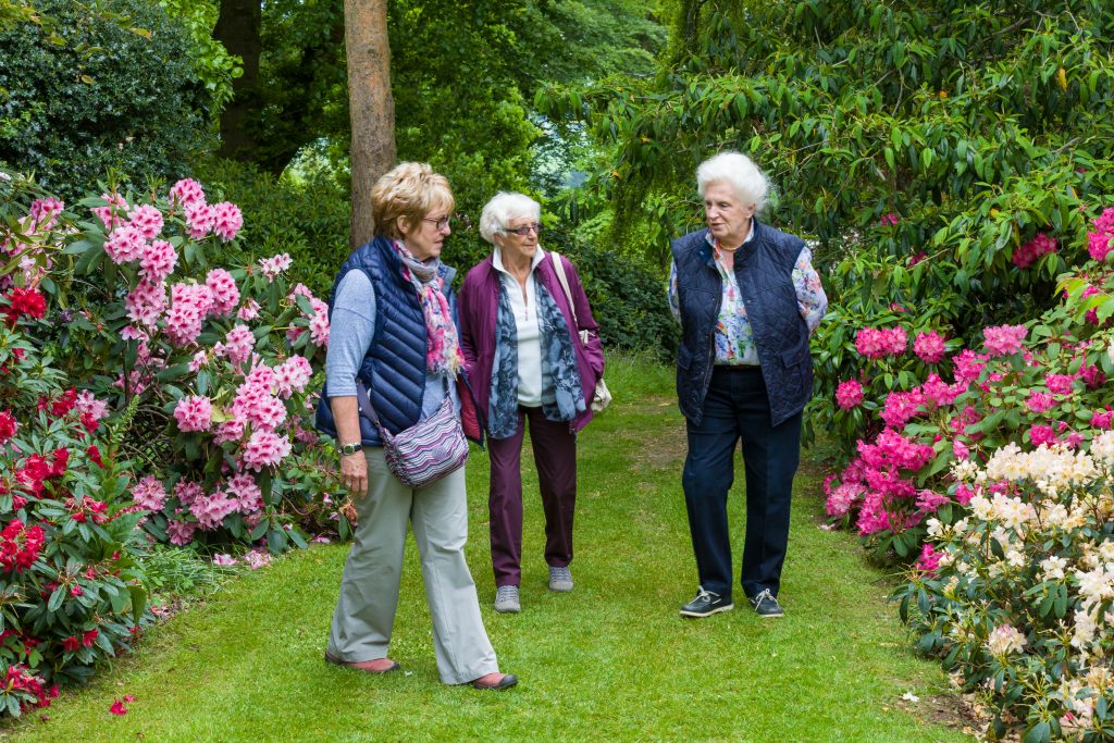 Garden Visitors - June 2016