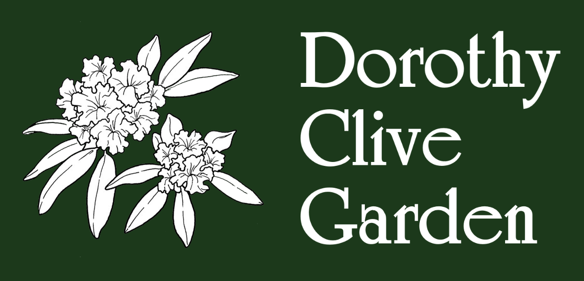 DCG Logo