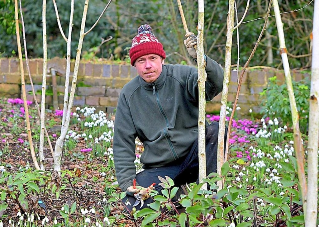 pruning workshop dorothy clive garden