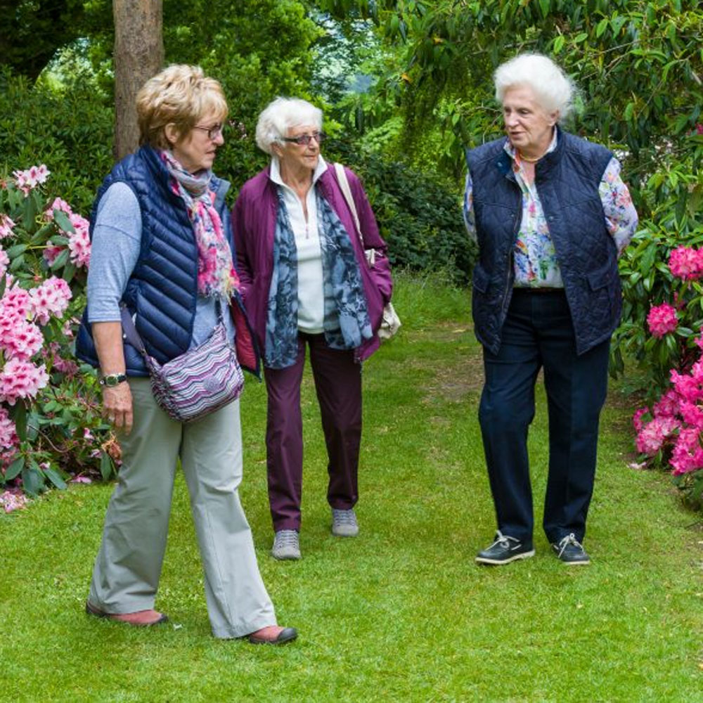 group visit dorothy clive garden