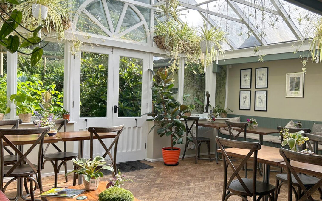 Houseplants Talk