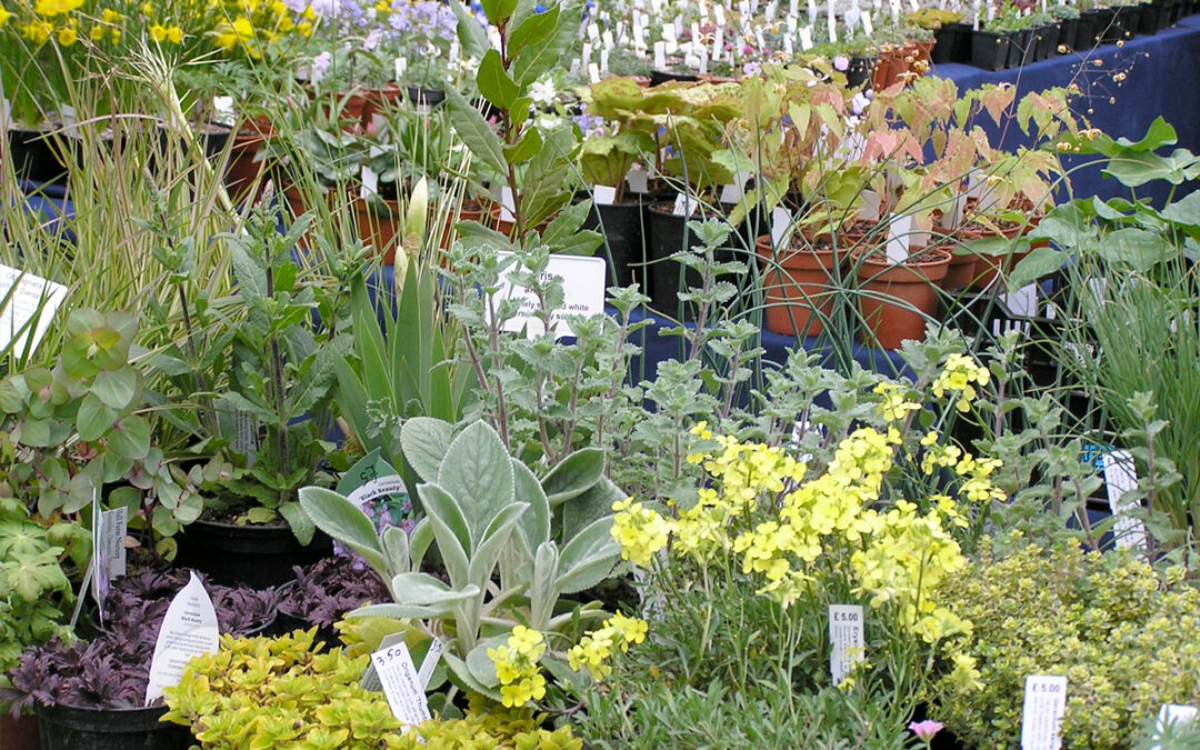 Plant Hunters Fair – Special Fundraising Event