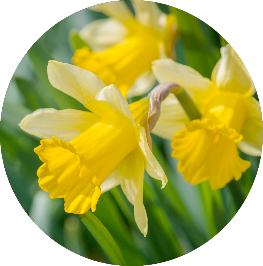 april january<br />