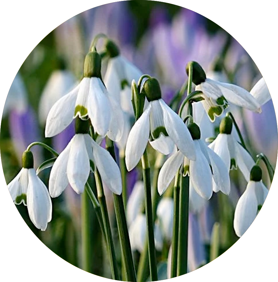 february february