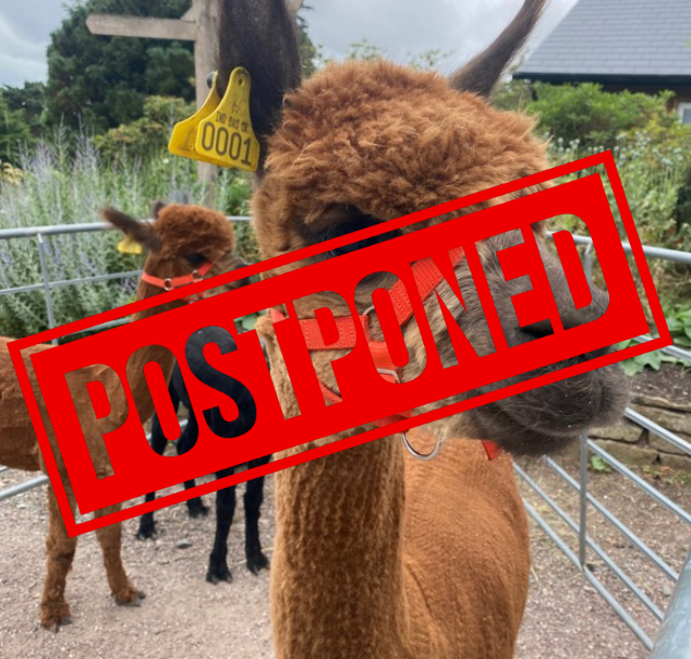 Alpaca Visit!