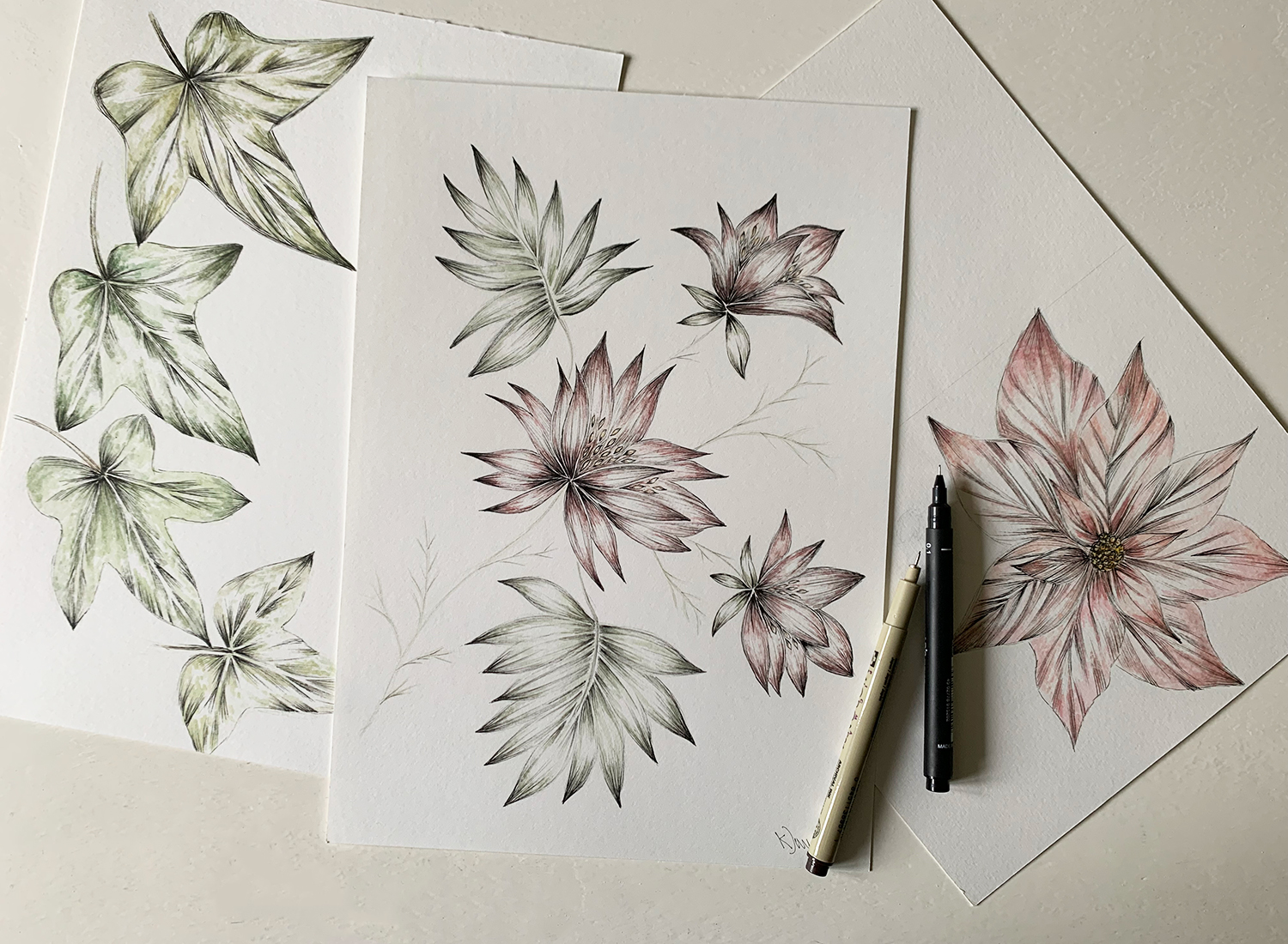 Christmas Botanical Pen and Watercolour Workshop with Kate Dawes