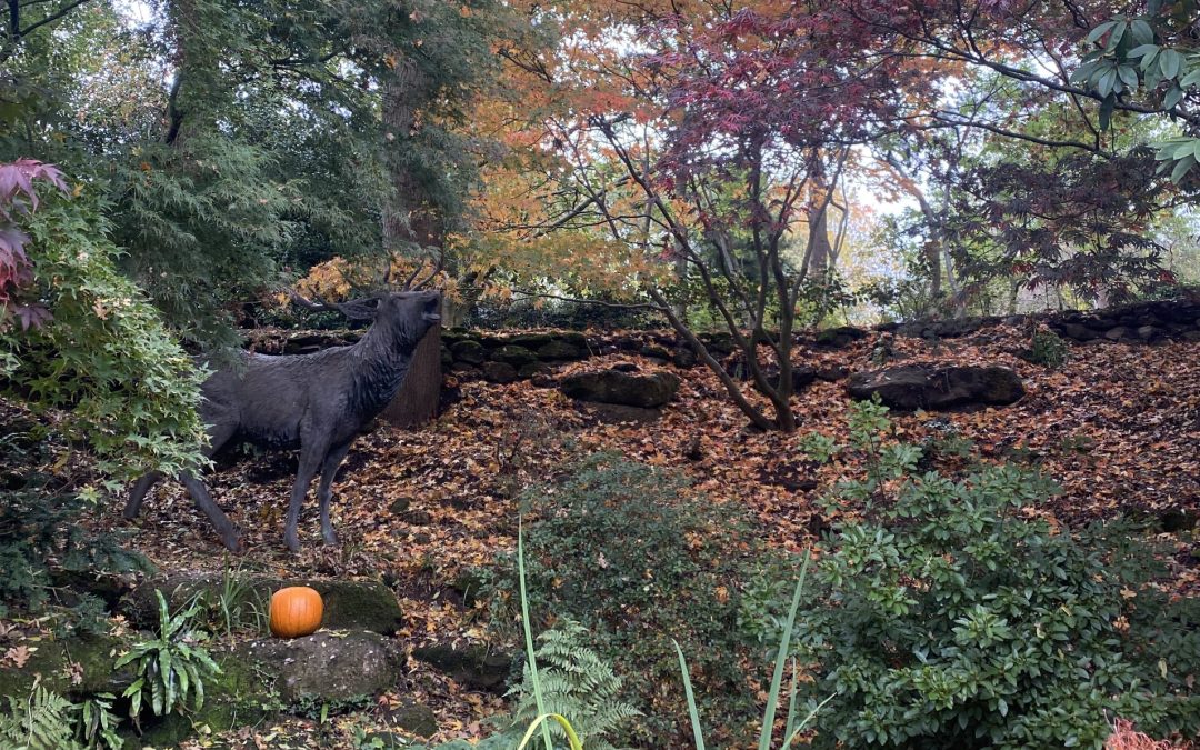 Pumpkin Trail