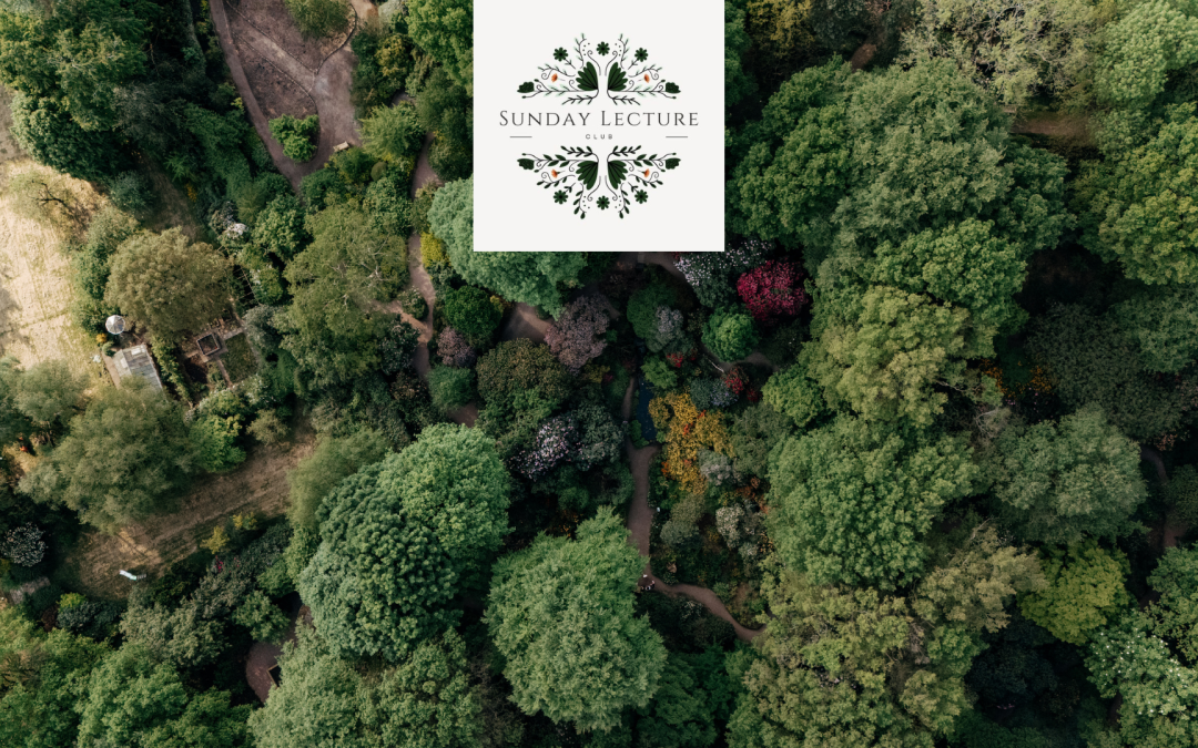 Sunday Lecture – Dr. Peter Thomas ‘The Value of Trees’