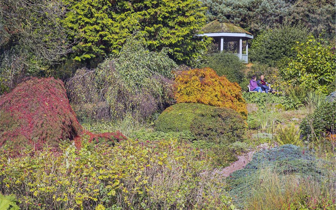 Sunday Lecture- Autumn into Winter and Early Spring