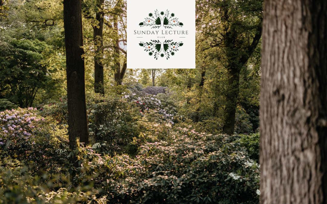 Sunday Lecture – ‘Woodland Plants for the Connoisseur’