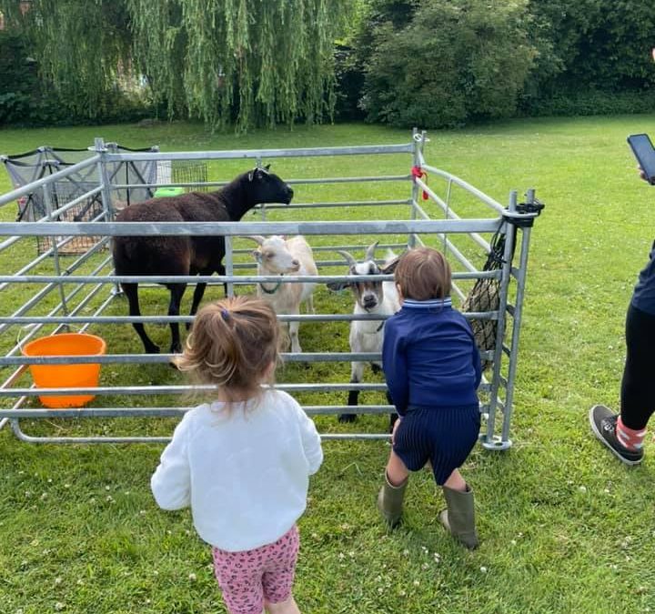 Animal Encounters – Special Fundraising Event