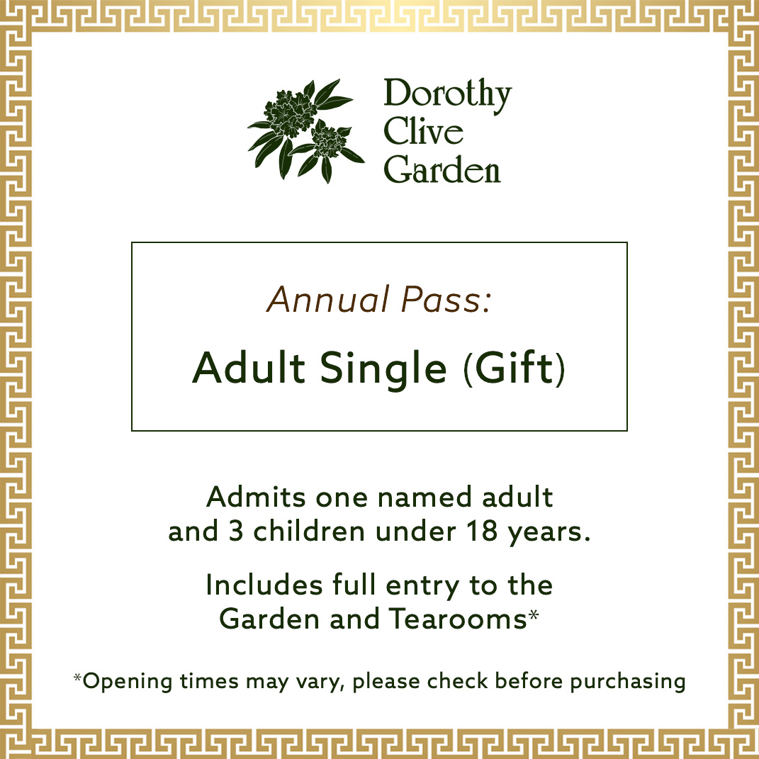 adult single gift membership