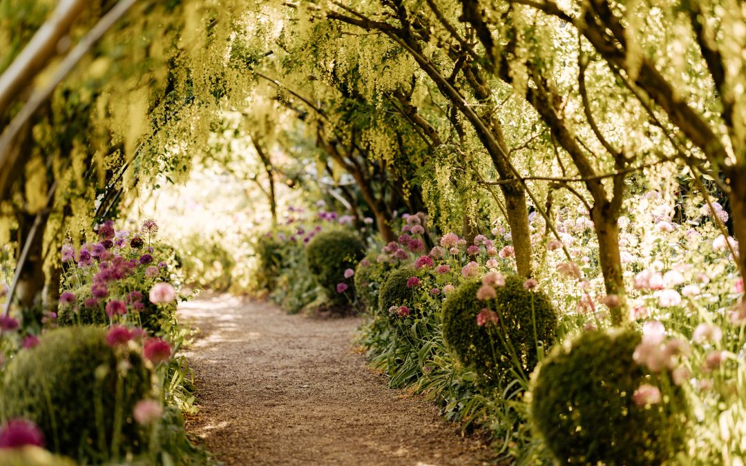 Talk With Adrian Lovatt On The ‘Early Days of The Dorothy Clive Garden’